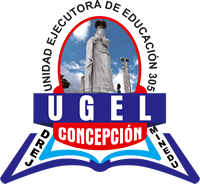 UGEL Concepción, Junín